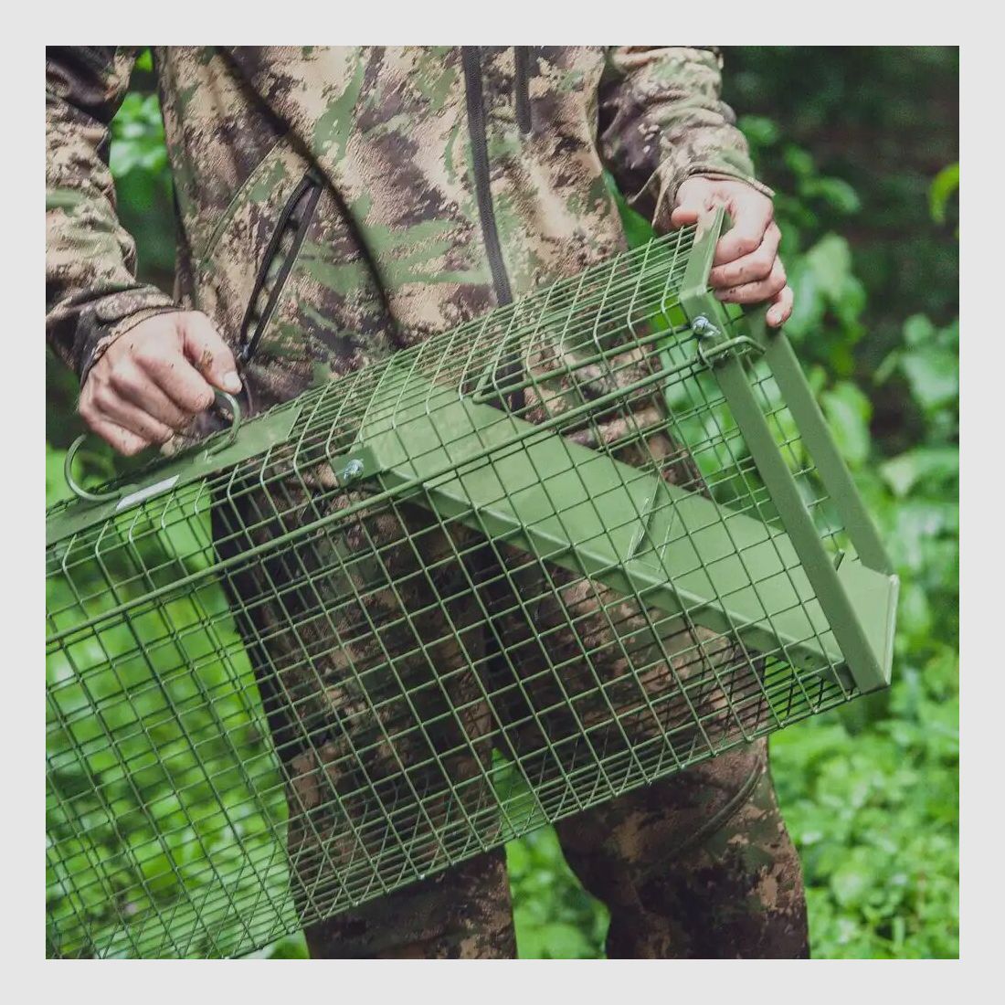 Frankonia Falle Lebendfang – eintürig Klapptüren