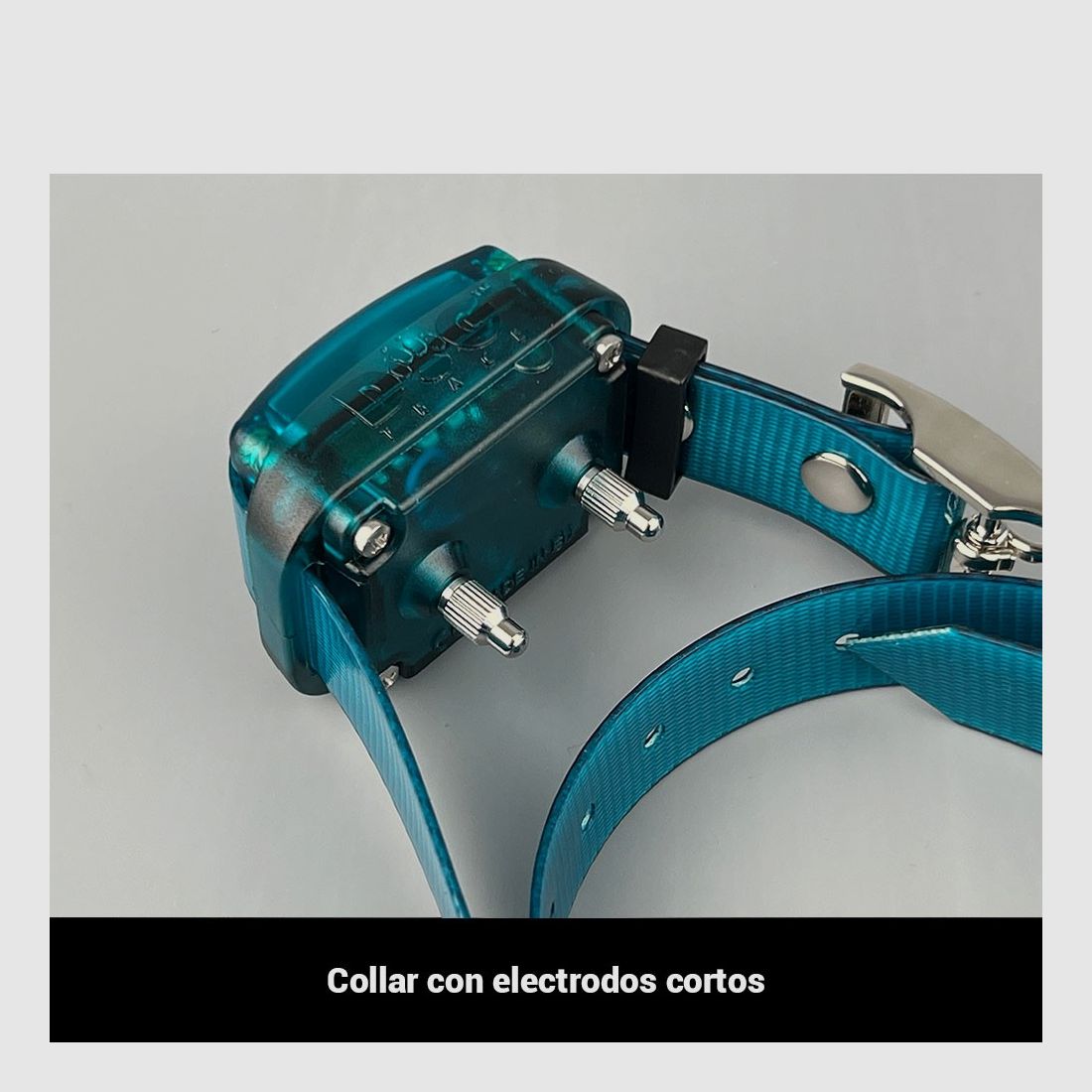 Dogtrace Easy Mini+, afbeelding 3 van 9