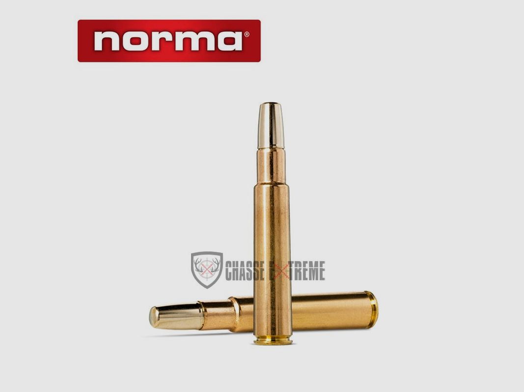 10 Cartucce NORMA Solide Cal. 416 Rigby 400gr, immagine 1 di 2