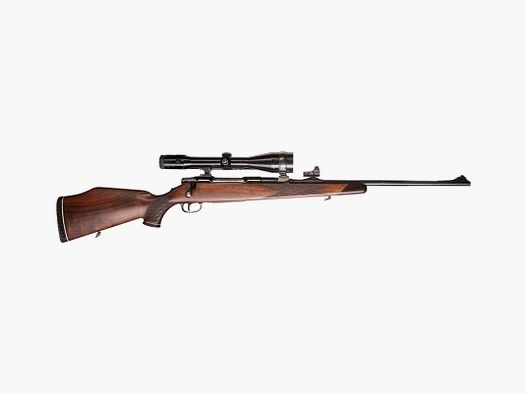 Sauer 80