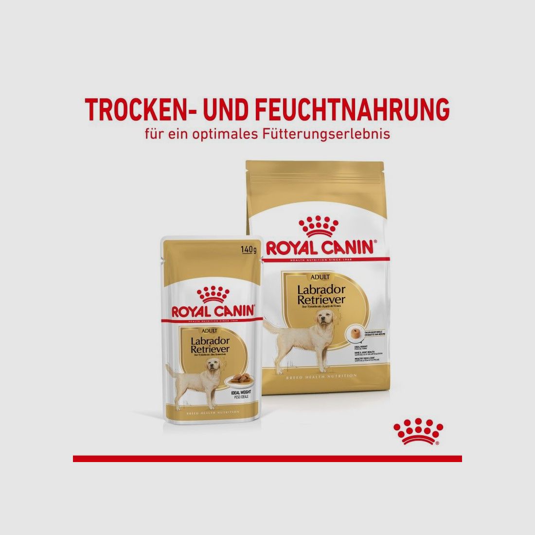 ROYAL CANIN Labrador Retriever Nassfutter Adult Stückchen in Soße 10x140 g