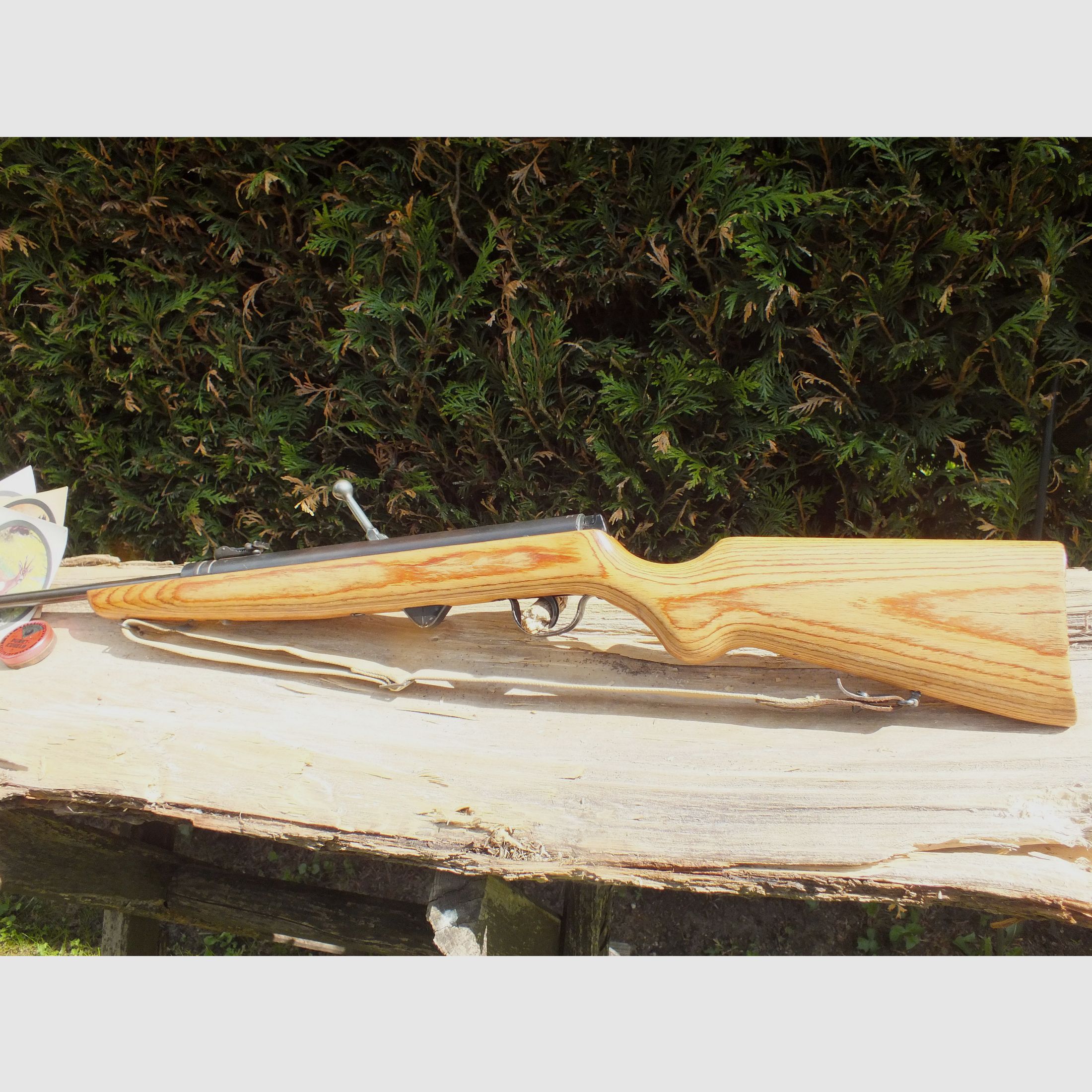 DDR- carabine à air 310-9 avec crosse en bois stratifié. Rare!
