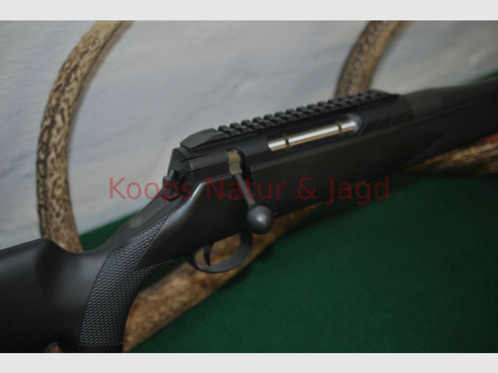 Rössler Signature Allround