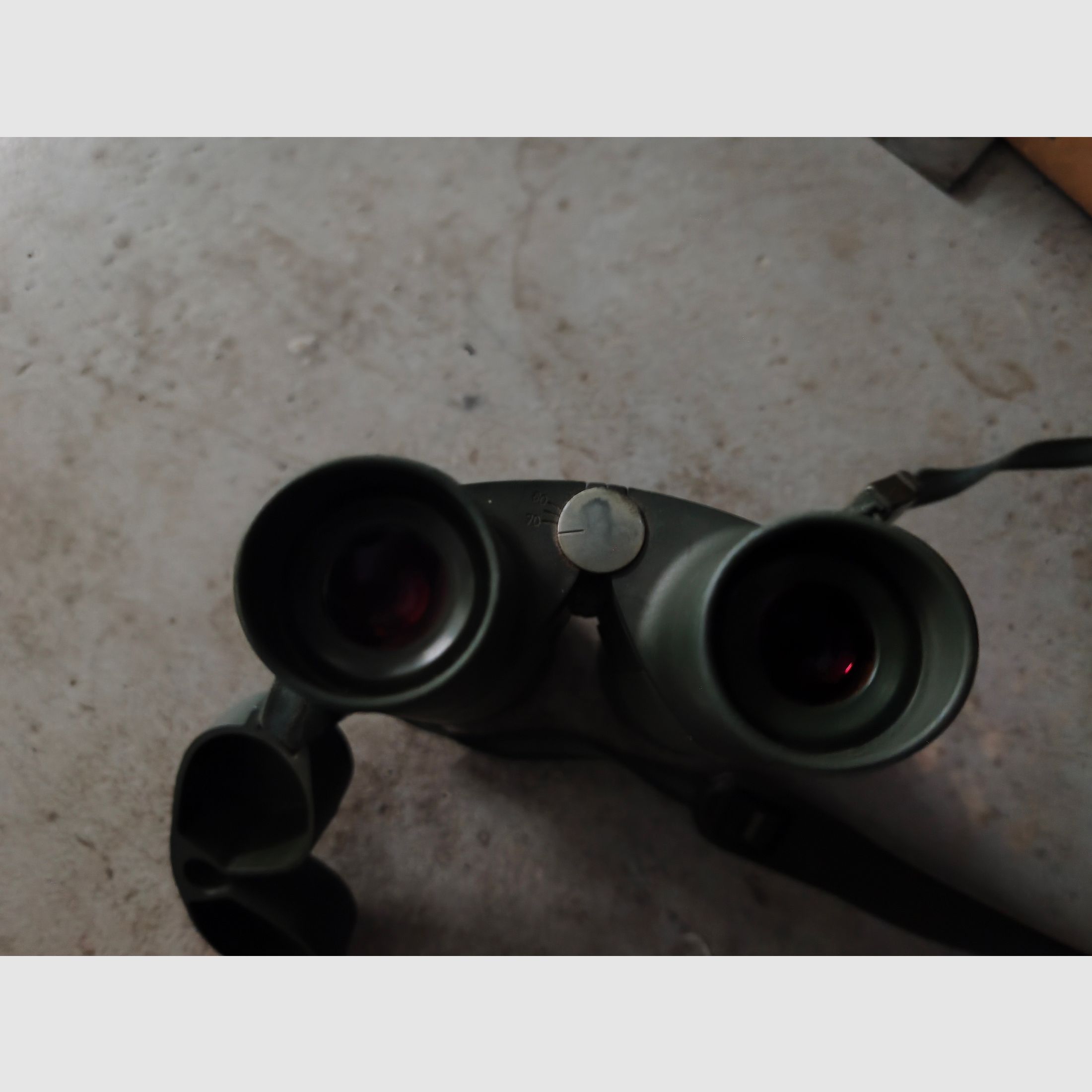 Purchase request: Zeiss binoculars 10x56 B T P