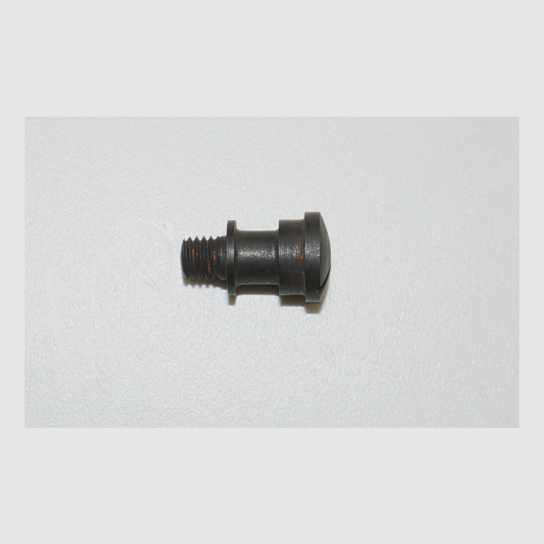 Fábrica de armas de Berna Tornillo de tapa usado para revólver de ordenanza suizo 29