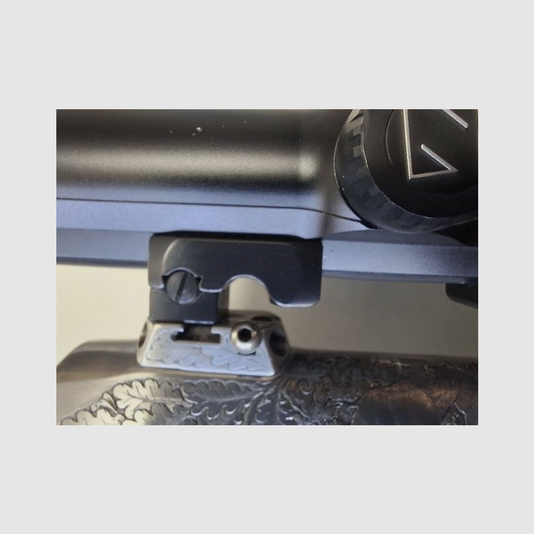 Sauer 202 LINKS