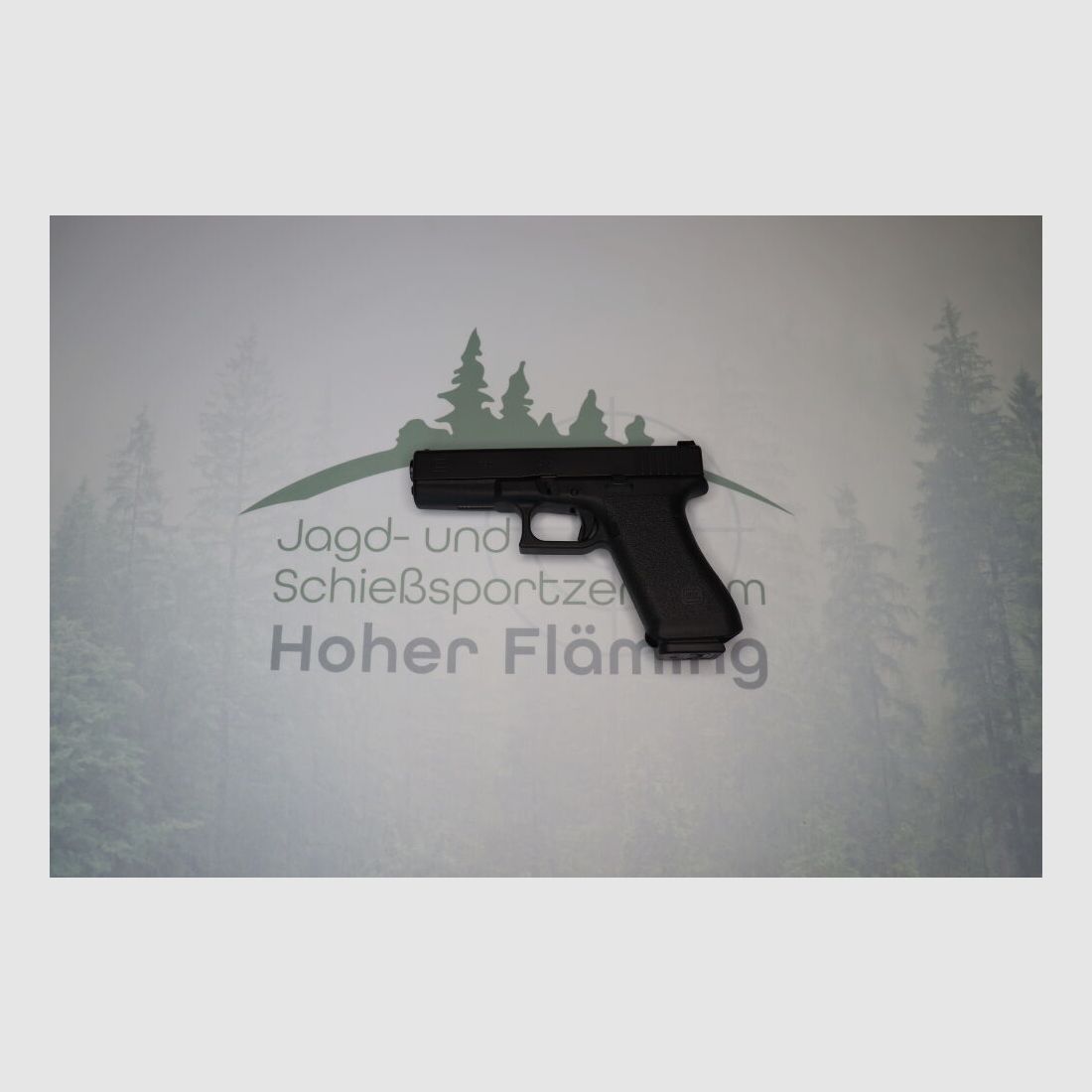 Glock P802022 9mmLuger