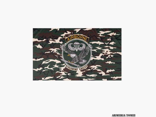 BANDIERA U.S. AIR BONE TARN 90×150 cm