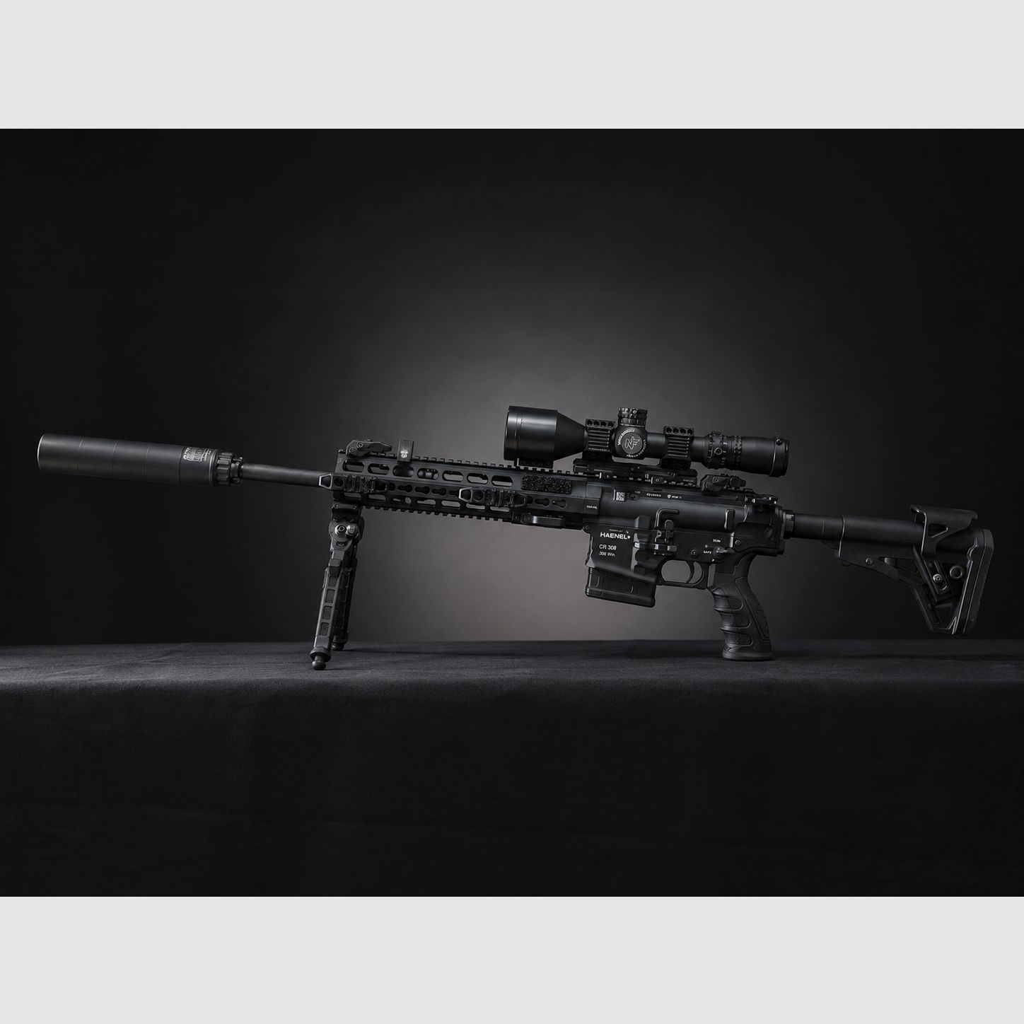 Haenel CR308 | Nightforce NX8 | A-Tec Marksman | Dentler TAC | Magpul