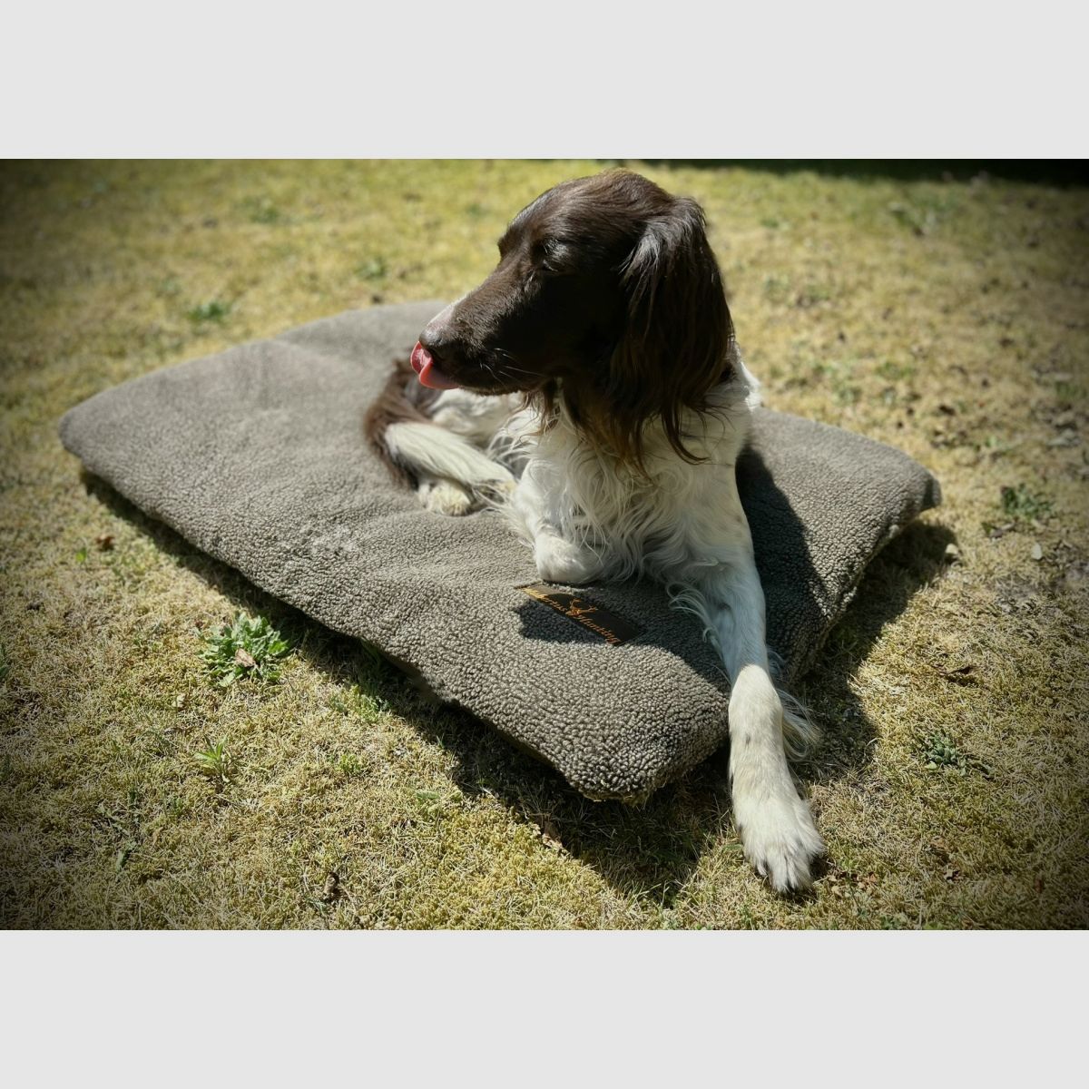 HUBERTUS Faserpelz Hundedecke 70x100cm oliv