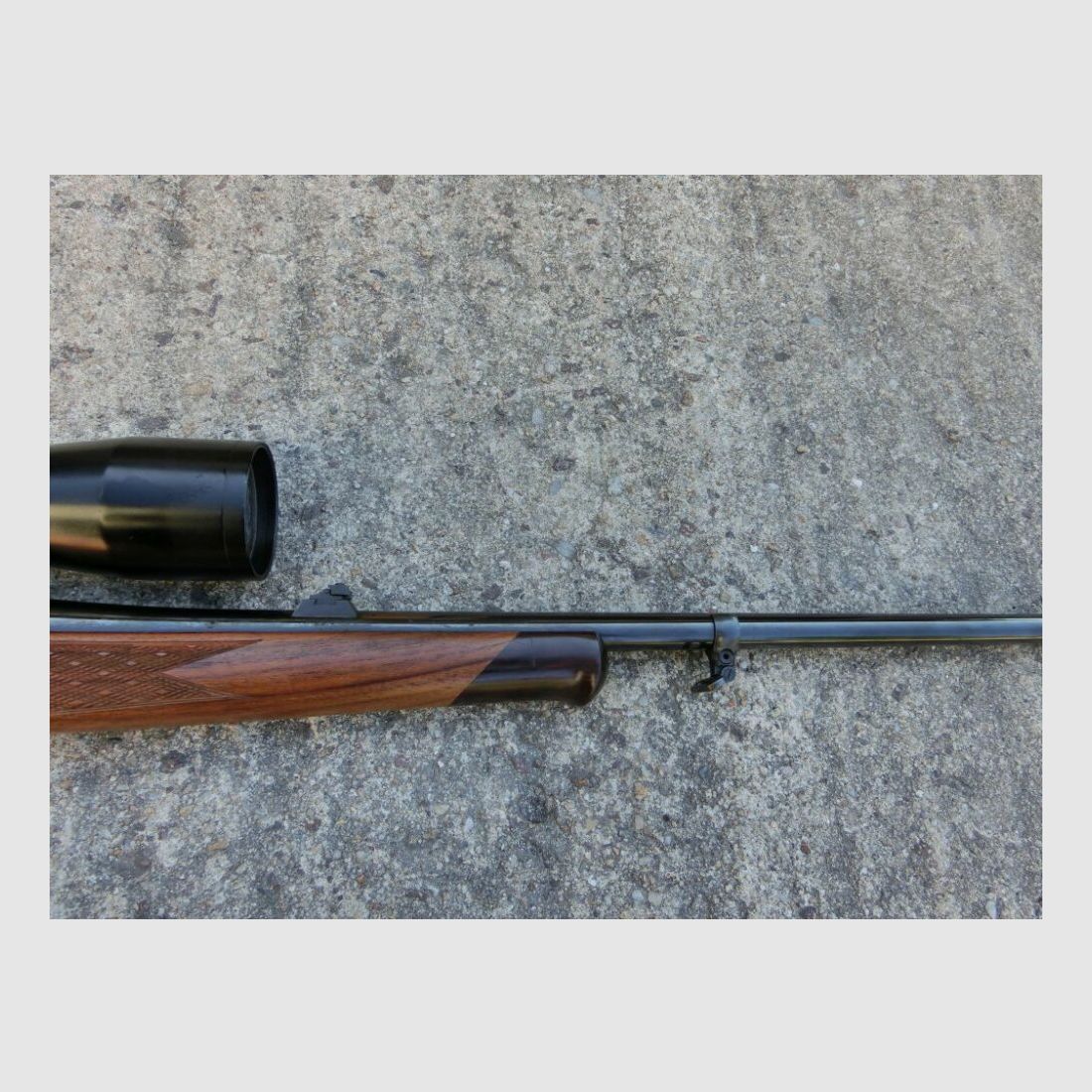 Zastava