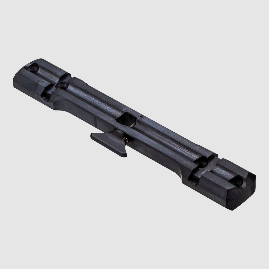 Dentler Grundschiene BASIS® Sauer 202 Medium