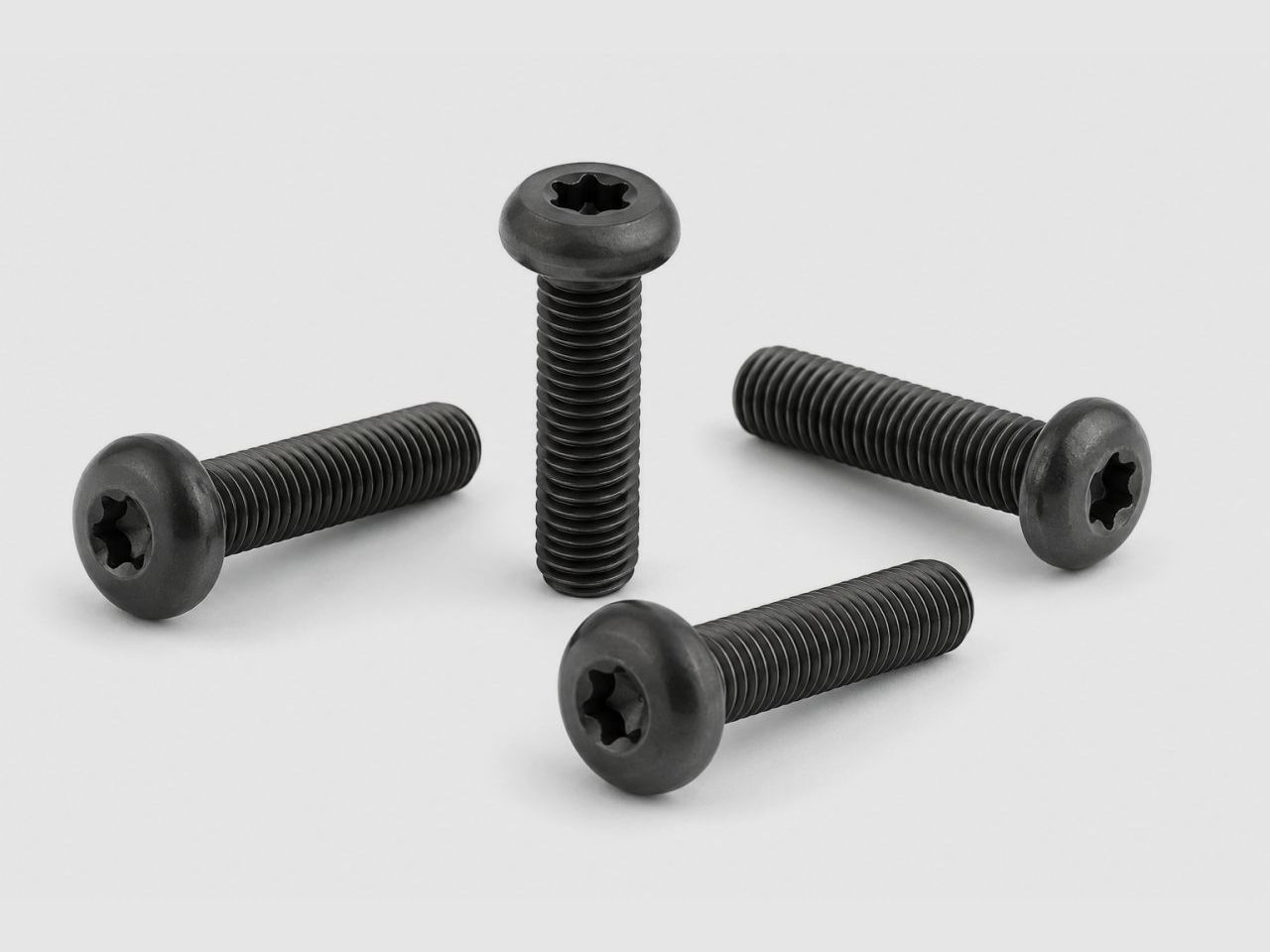 Spuhr Schrauben für Spannpratze M5x25 TX20 - 4 Stück