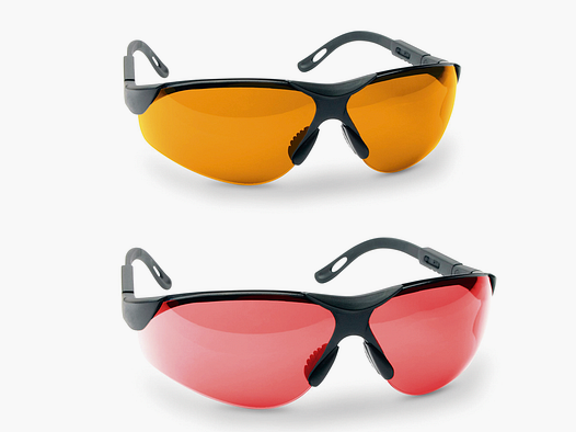 Eisport GAFAS ELITE AMBAR