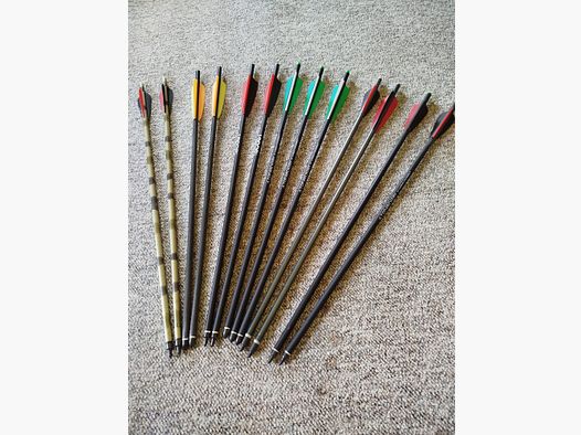 Dardi da balestra, confezione di frecce, frecce, 20“, 13 pezzi
