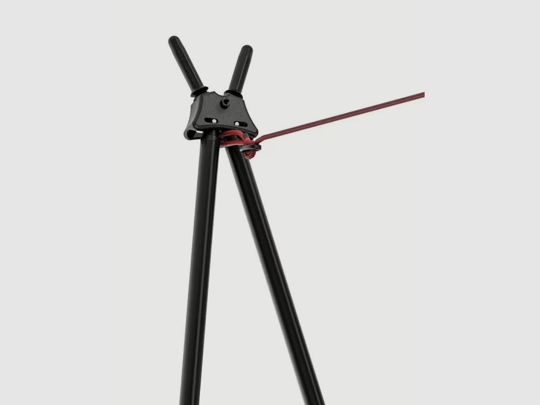 Pastorał Blaser Aluminium v 2.1 (80414896), zdjęcie 5 z 5