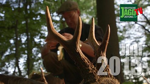 Bockjagd, Berufsjägerjagd und jagen in Schweden: DJZ-TV Juli 2015