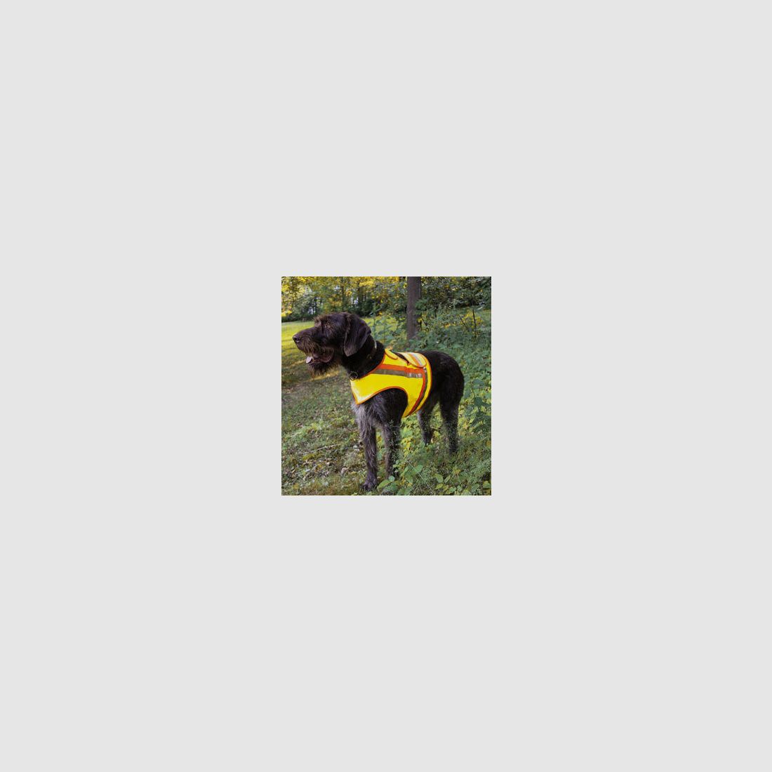 Veiligheidsvest voor honden