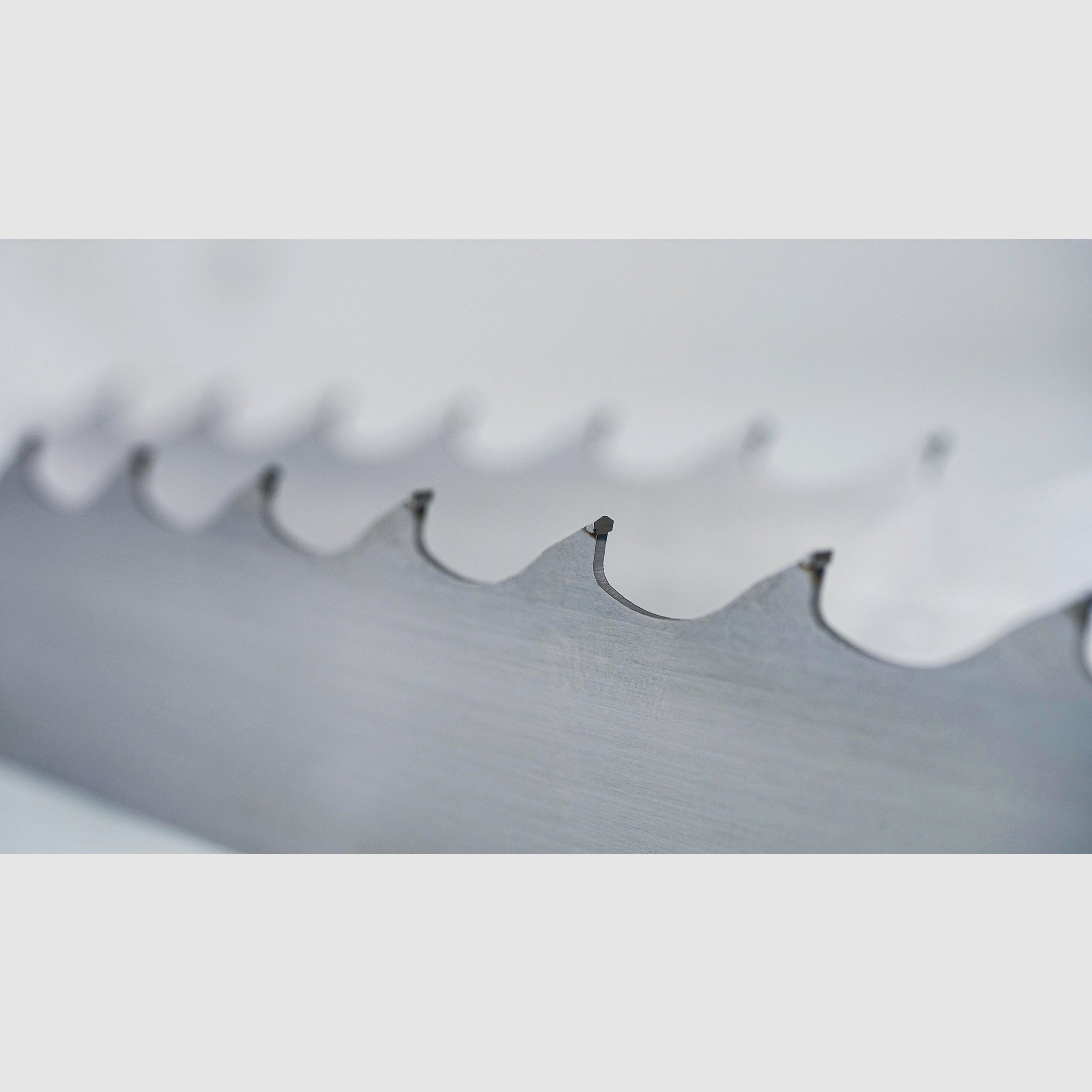 Wintersteiger Bandsgeblatt X-Run