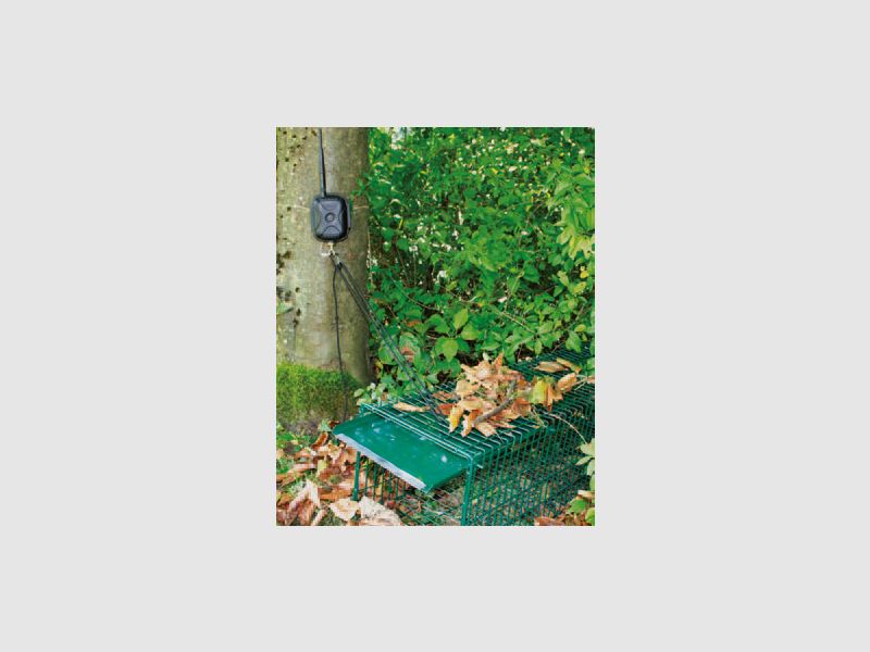 Moniteur de pièges gestionnaire de territoire