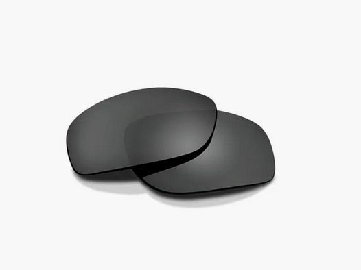 Ersatzgläser für Wiley X Ultra Brillen in Grau AC6ULTS