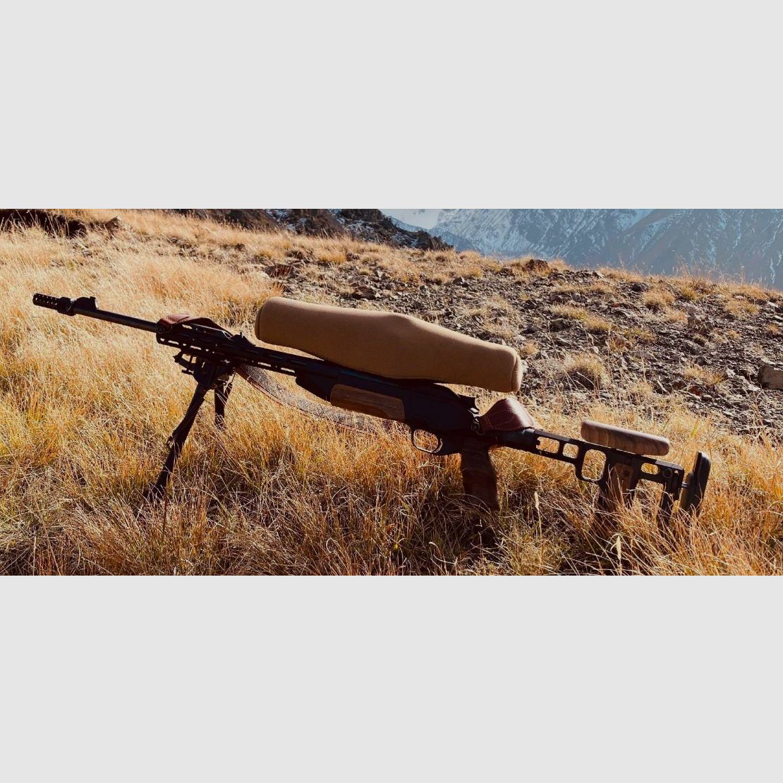 ACSR8 gen.2 Schaft Blaser R8