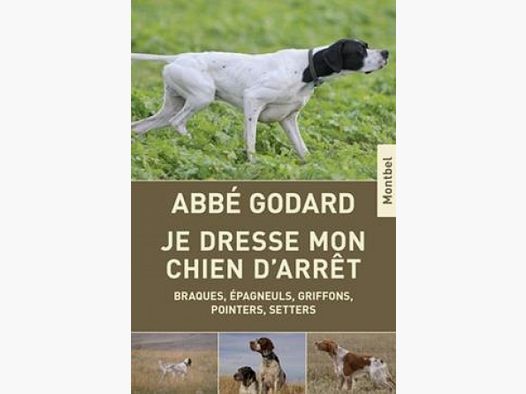 Ich trainiere meinen Vorstehhund