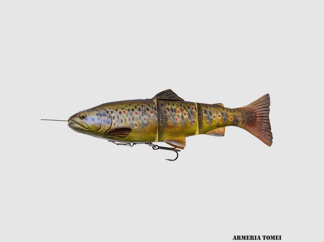 SAVAGE GEAR – 4D LINE THRU TROUT 15cm – 6″ 40g – 1 1/2 oz MODERATE SINK Dark Brown Trout