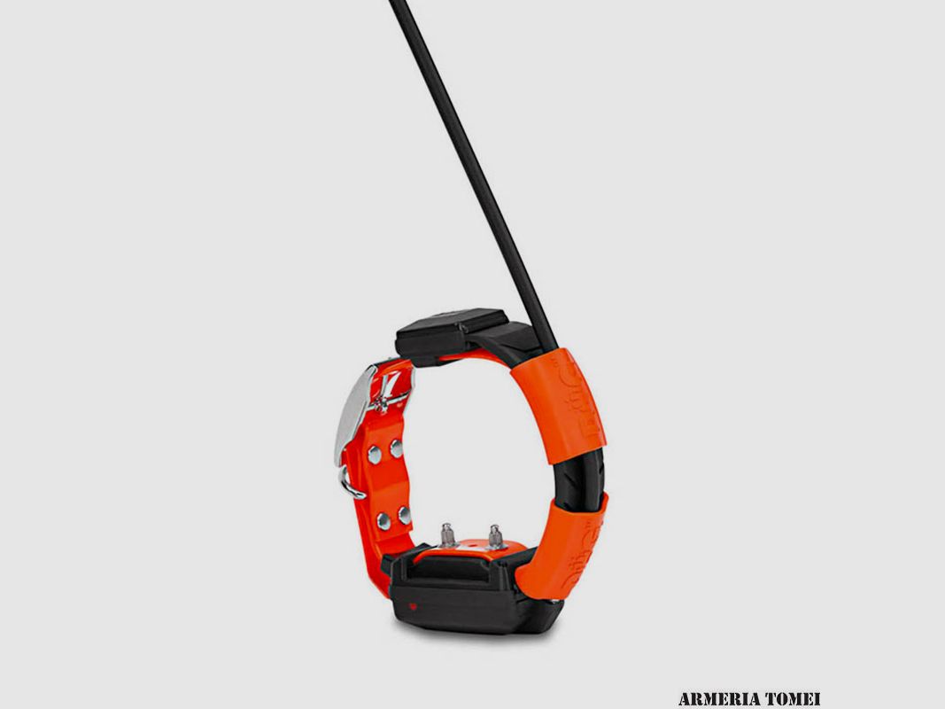 DOG TRACE – COLLAR X30T