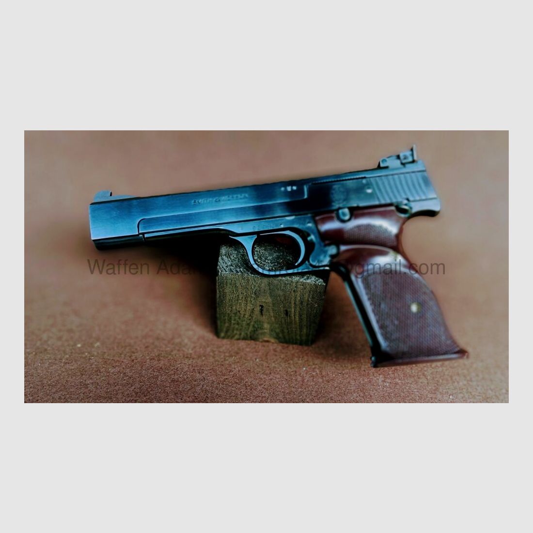 Smith & Wesson Modell 41 Sport