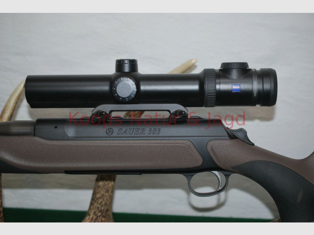 Sauer 303