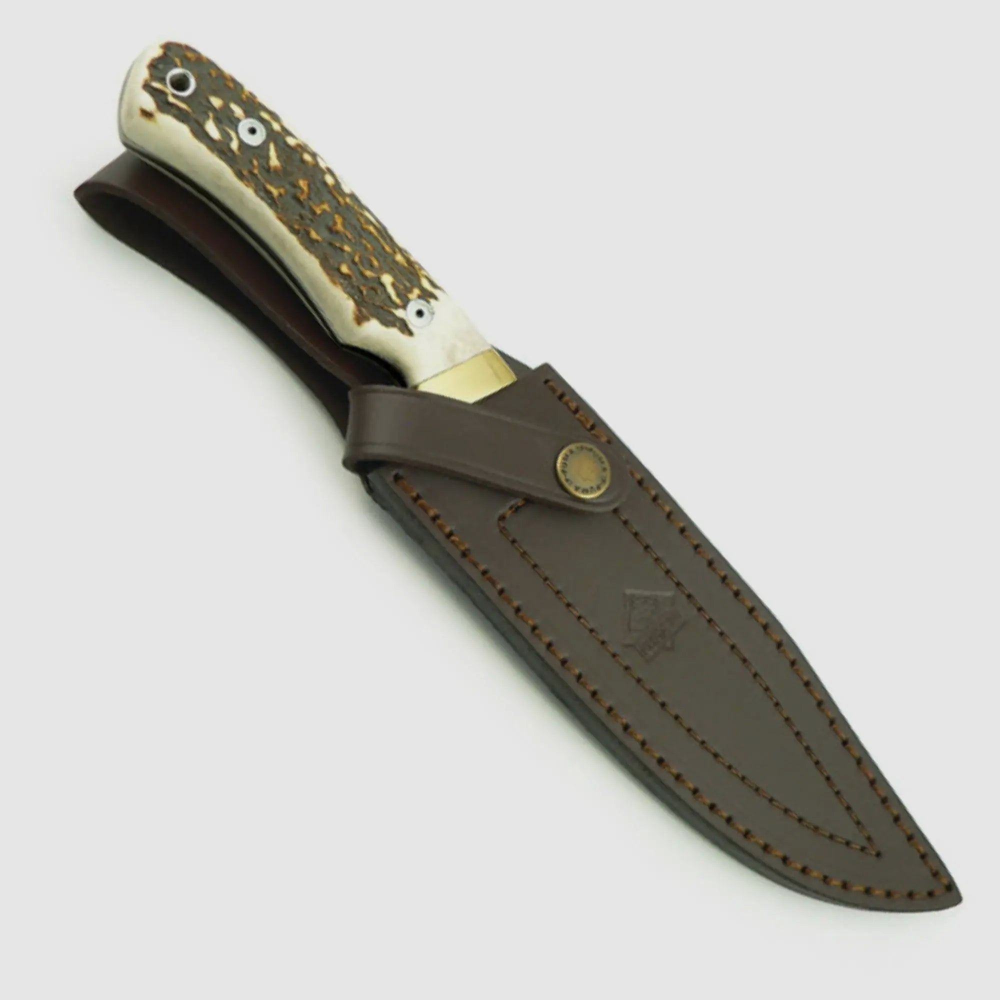 PUMA IP Mountain, Deer