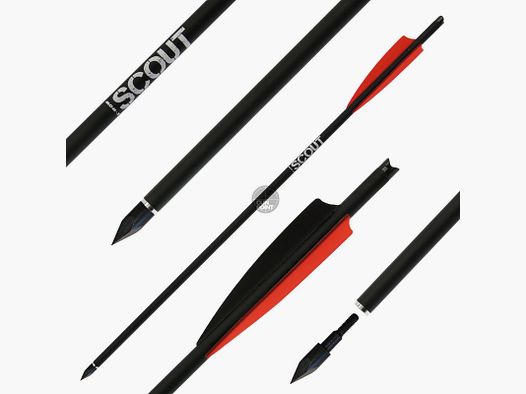 Armbrustbolzen | X-BOW FMA Scout - Bodkin - 22 Zoll - Hybridbolzen | Spitze: 100gr