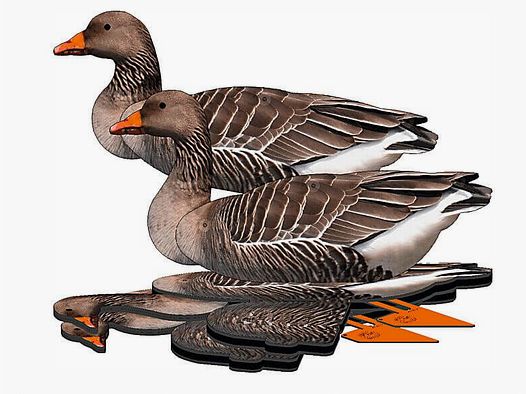 Lockvogel Graugans 6er-Set (FUD Decoy)