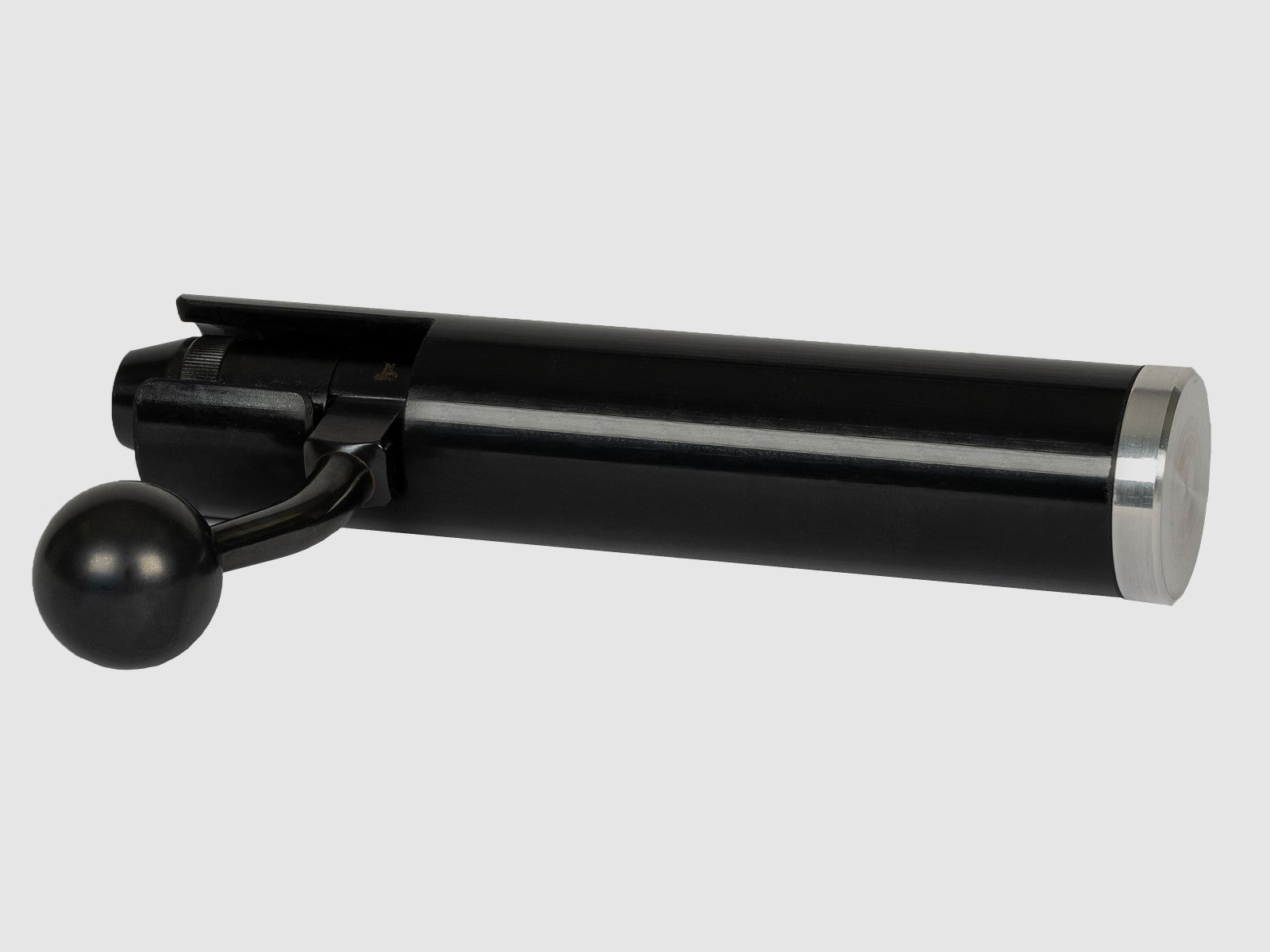 ahg-BOLT PROTECTOR Schlossschutz 54.30