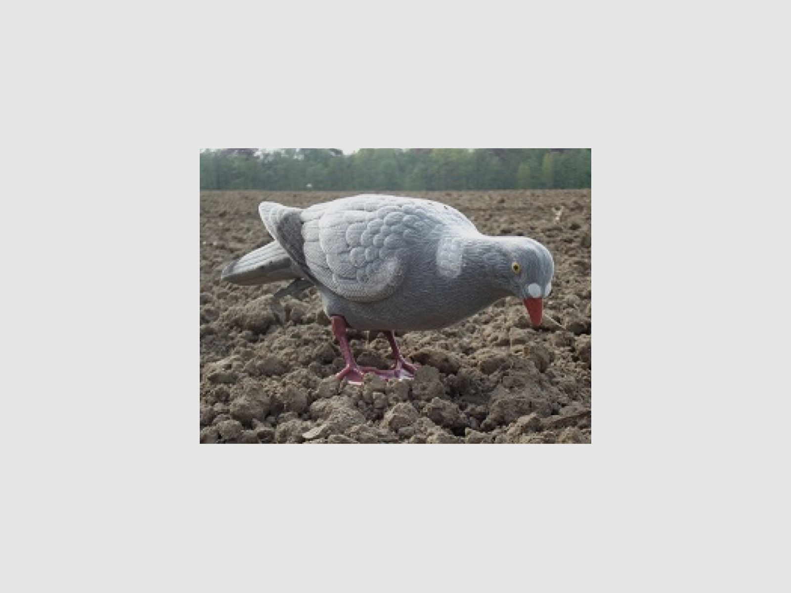 LOCKTAUBE Vollichaam PICKEND beflockt met voet & aardspies