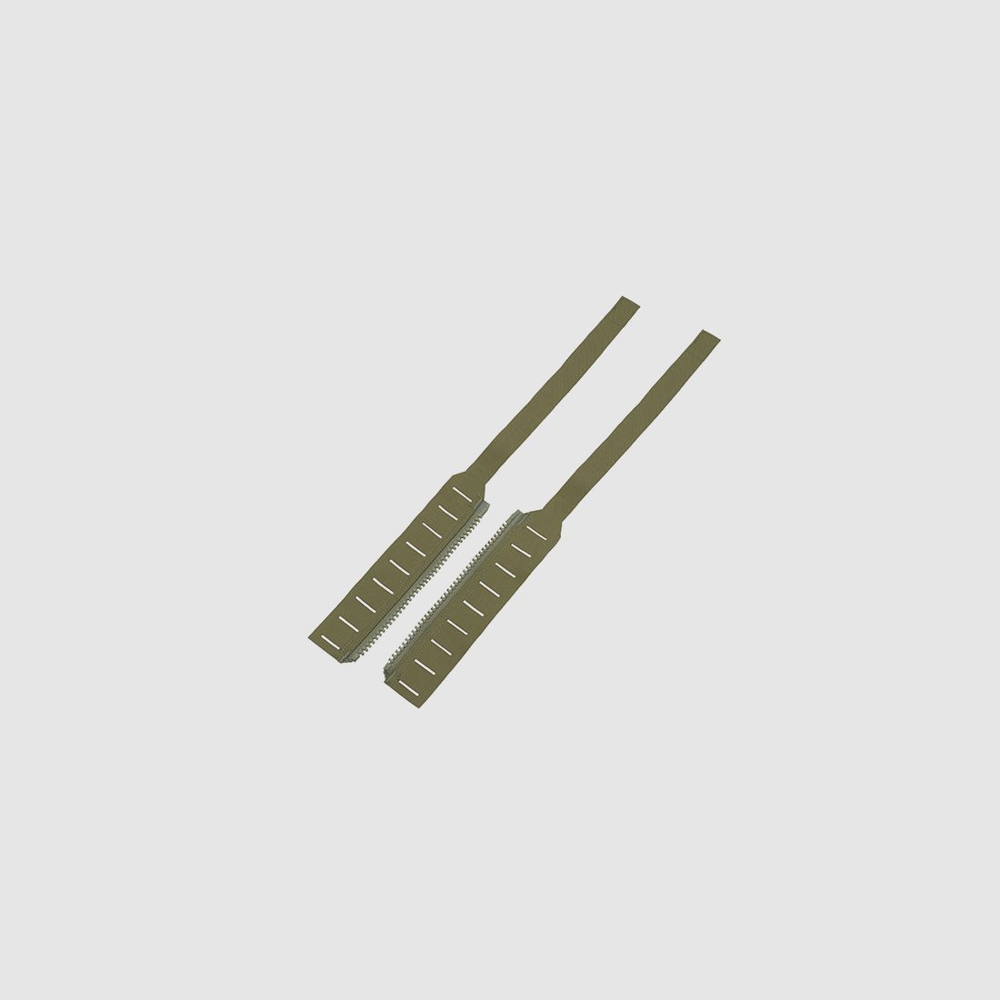 ZIP MOLLE - Ranger Green [WETAC]