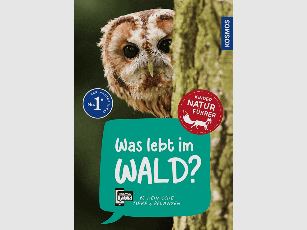 Kinderbuch „Kindernaturführer: Was lebt im Wald?“