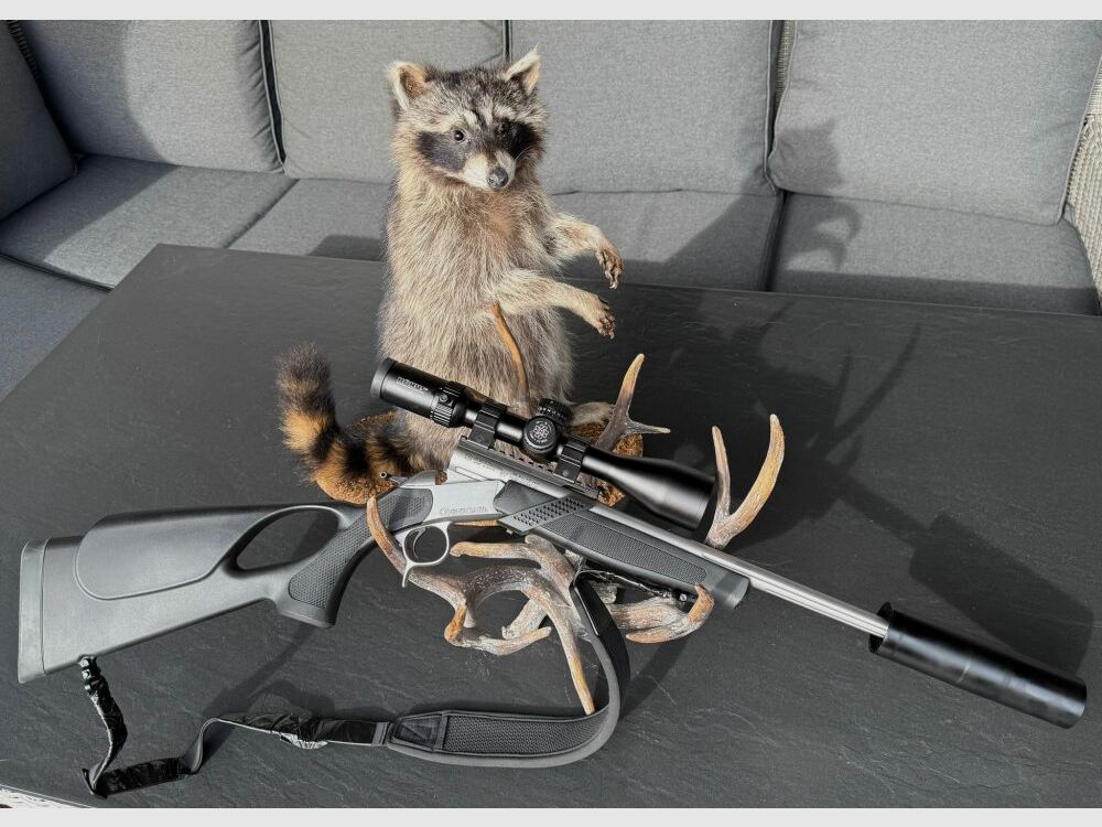 Bergara BA13 Takedown