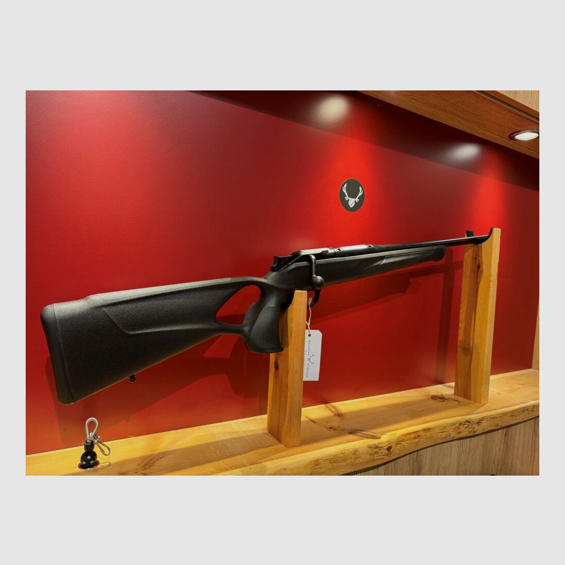Blaser R8 Professional Success