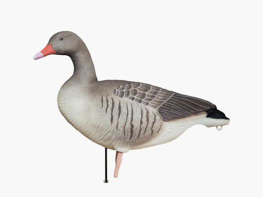 DK WAI Buster Greylag goose calls