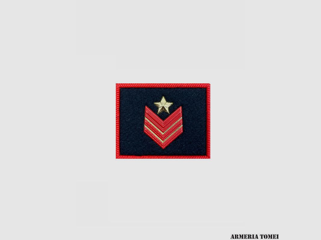CARABINIERI – GRAD für JACKEN ÖFFENTLICHE ORDNUNG KUNSTSTOFF APPUNTATO SCELTO SPEZIALQUALIFIKATION