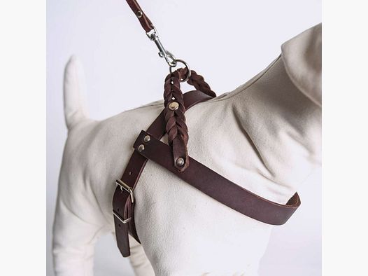 Geschirr CP saddle brown