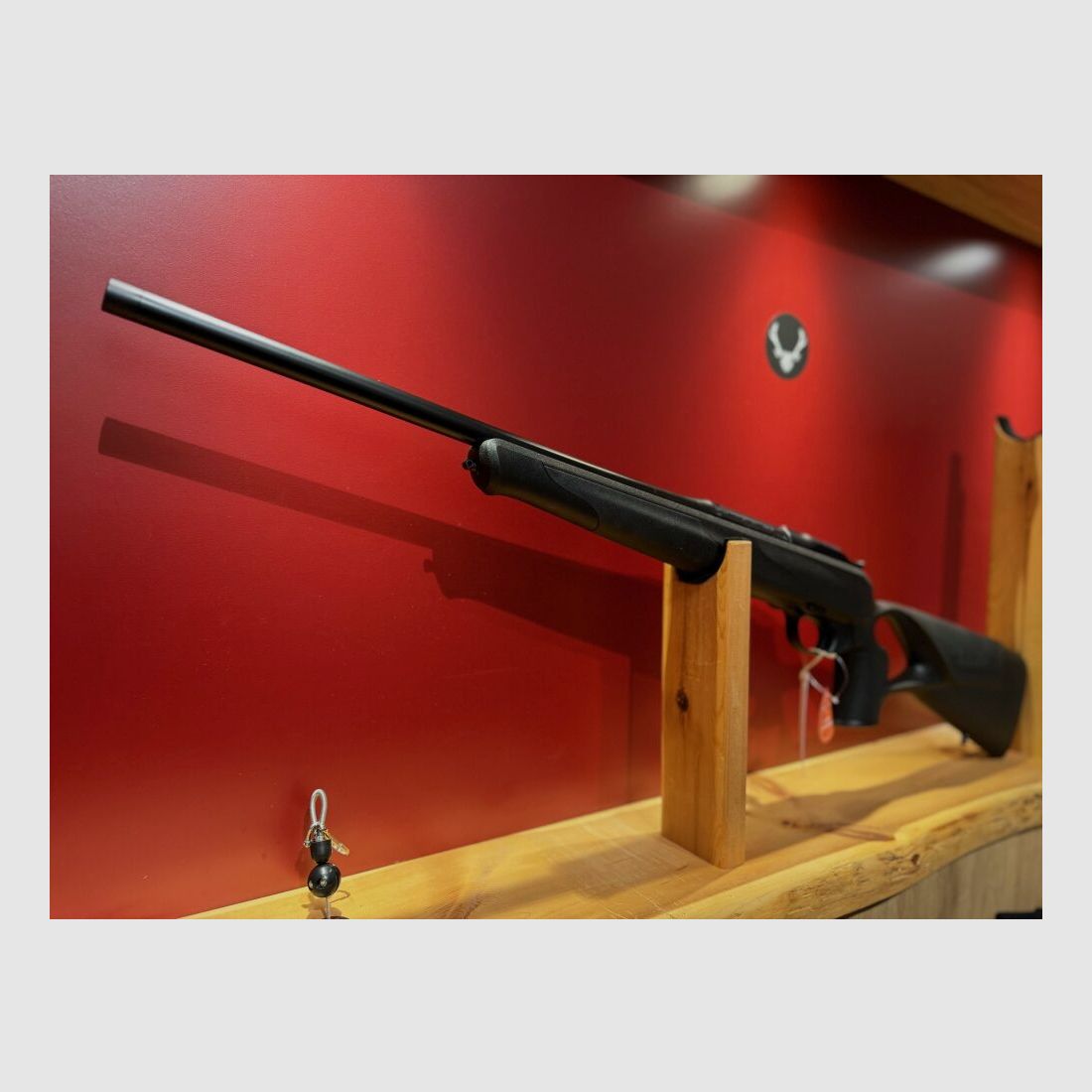 Blaser R8 Professional Success