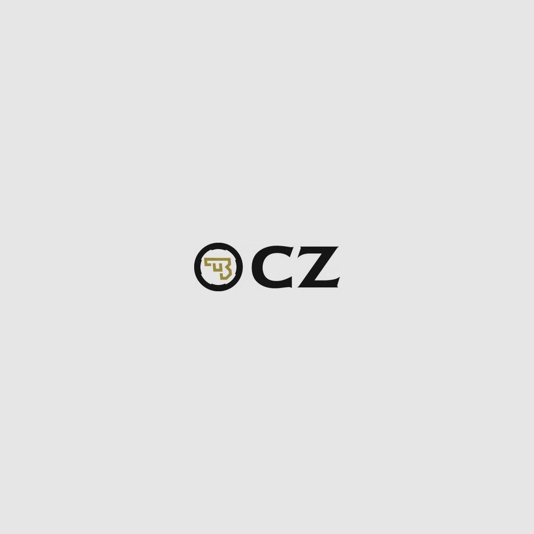 CZ-veergeleidestang