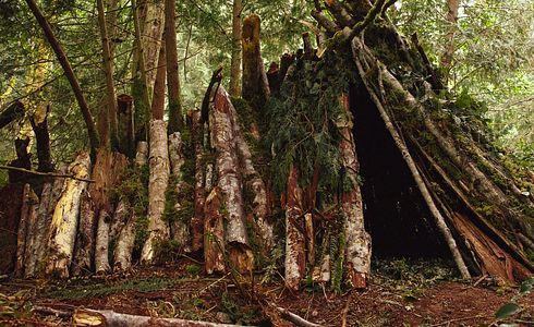 Survival, Bushcraft, Prepping? Ein kurzer Überblick