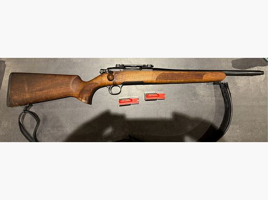 Azione in acciaio HS con montaggio di base Dentler (ripetitore a corsa rettilinea)