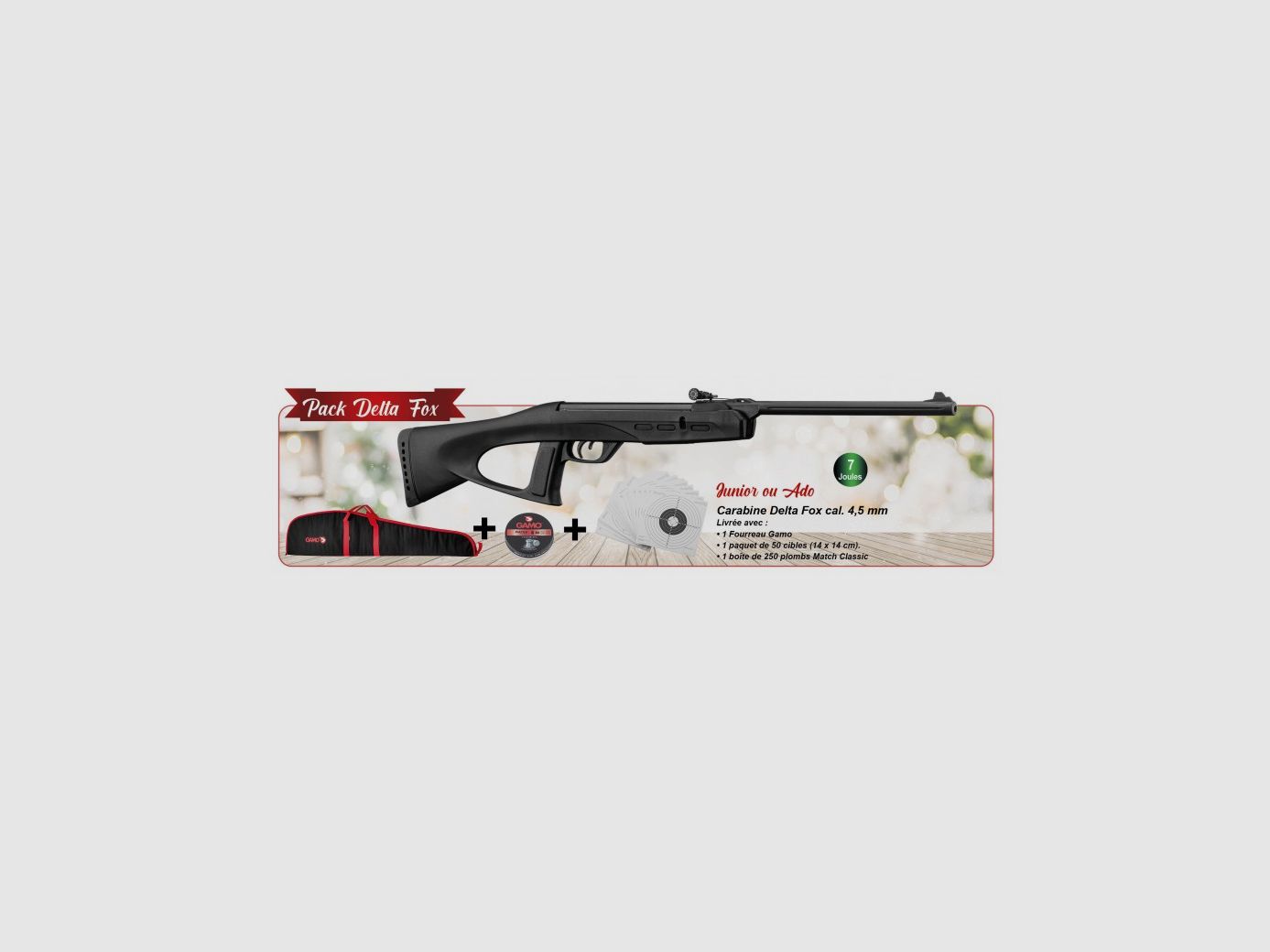 Gamo Pack Noel Delta Fox GT + gun slip + target + pellets