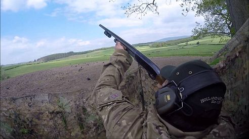 Crow shooting on cover crops with a ShotKam