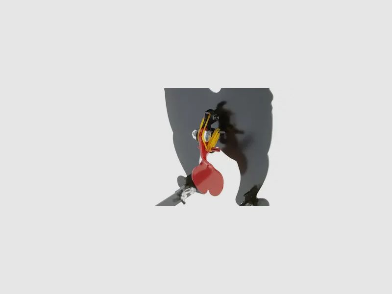 Bear Nuts Target, image 11 sur 12